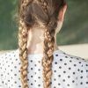 Pigtails Braided Hairstyles (Photo 15 of 15)
