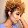 Plum Brown Pixie Haircuts For Naturally Curly Hair (Photo 20 of 25)