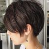 Longer-On-Top Pixie Hairstyles (Photo 22 of 25)