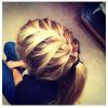 Fantastical French Braid Ponytail Hairstyles (Photo 22 of 25)
