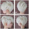 Pastel Pixie Hairstyles With Undercut (Photo 24 of 25)