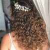 Curled Half-Up Hairstyles (Photo 19 of 25)