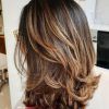 Mid-Back Brown U-Shaped Haircuts With Swoopy Layers (Photo 9 of 25)