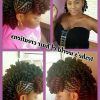 Faux Mohawk Hairstyles With Natural Tresses (Photo 14 of 25)