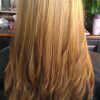 Long Hairstyles Layered Straight (Photo 5 of 25)