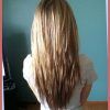 Long Hairstyles U Shaped (Photo 16 of 25)