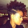 Side Braided Mohawk Hairstyles With Curls (Photo 20 of 25)