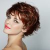 Short Haircuts For Thick Curly Frizzy Hair (Photo 11 of 25)