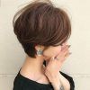 Bold Asian Pixie Haircuts (Photo 13 of 25)