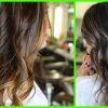 Medium Brown Tones Hairstyles With Subtle Highlights (Photo 18 of 25)