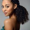 French Braid Ponytail Hairstyles With Curls (Photo 20 of 25)