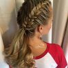 Fantastical French Braid Ponytail Hairstyles (Photo 3 of 25)
