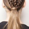 Three Strand Pigtails Braided Hairstyles (Photo 12 of 25)