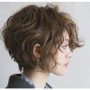 Asymmetrical Feathered Bangs Hairstyles With Short Hair (Photo 13 of 25)