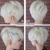 Gray Blonde Pixie Hairstyles (Photo 23 of 25)