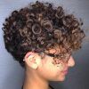 Tapered Brown Pixie Hairstyles With Ginger Curls (Photo 3 of 25)