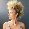 Curly Mohawk Updo Hairstyles (Photo 16 of 25)