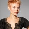 Rose Gold Pixie Haircuts (Photo 7 of 15)
