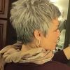 Tapered Gray Pixie Hairstyles With Textured Crown (Photo 13 of 25)