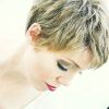 Pixie Hairstyles For Thick Hair (Photo 11 of 15)