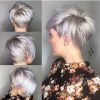 Silver Pixie Hairstyles For Fine Hair (Photo 20 of 25)