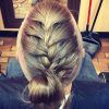 Plaited Low Bun Braided Hairstyles (Photo 15 of 25)