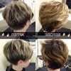 Pixie Haircuts With Short Thick Hair (Photo 25 of 25)