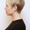 Modified Pixie Hairstyles (Photo 9 of 15)