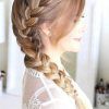 Fantastical French Braid Ponytail Hairstyles (Photo 5 of 25)