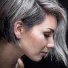 Silver Side-Parted Pixie Bob Haircuts (Photo 17 of 25)