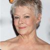 Short Pixie Hairstyles For Older Women (Photo 1 of 15)