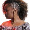 Cornrow Fishtail Side Braided Hairstyles (Photo 13 of 25)