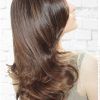 Medium Brown Tones Hairstyles With Subtle Highlights (Photo 25 of 25)