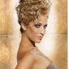 Updo Naturally Curly Hairstyles (Photo 15 of 15)