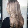 Long Hairstyles For Fine Straight Hair (Photo 5 of 25)