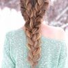 Asymmetrical French Braided Hairstyles (Photo 19 of 25)
