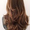 Long Hairstyles Cut In Layers (Photo 1 of 25)