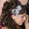 Wedding Hairstyles For Long Hair With Birdcage Veil (Photo 4 of 15)
