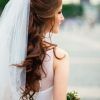 Half Up Half Down With Veil Wedding Hairstyles (Photo 4 of 15)