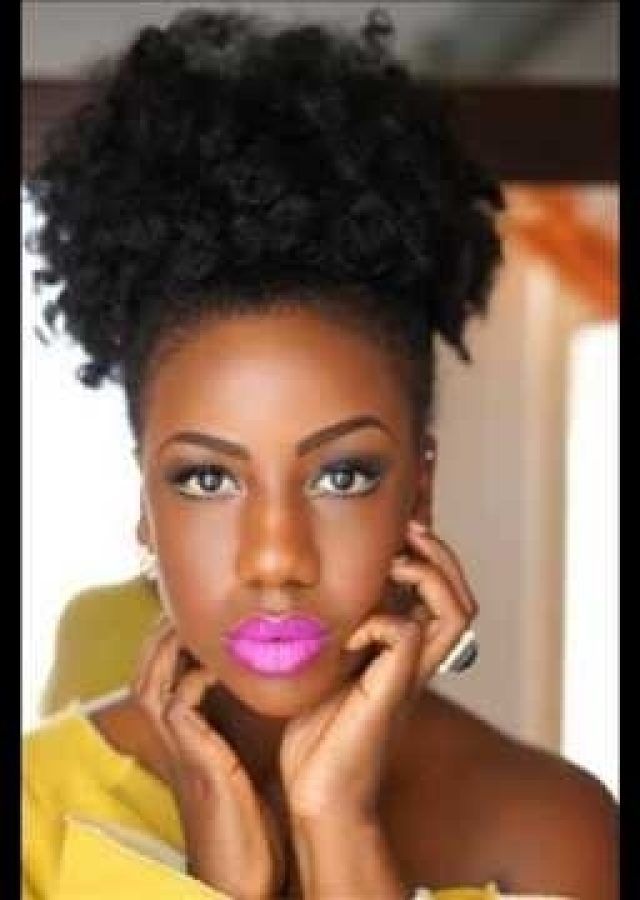 2024 Popular Updos for African American Natural Hair