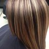 Long Hairstyles Highlights And Lowlights (Photo 5 of 25)