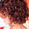 Short Curly Hairstyles (Photo 24 of 25)