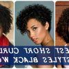 Curly Short Hairstyles For Black Women (Photo 7 of 25)