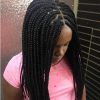 Centre Parted Long Plaits Braid Hairstyles (Photo 10 of 25)