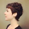 Plum Brown Pixie Haircuts For Naturally Curly Hair (Photo 3 of 25)