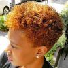 Curly Golden Brown Pixie Hairstyles (Photo 15 of 25)