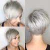 Silver And Brown Pixie Haircuts (Photo 6 of 15)