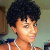 Plum Brown Pixie Haircuts For Naturally Curly Hair (Photo 25 of 25)
