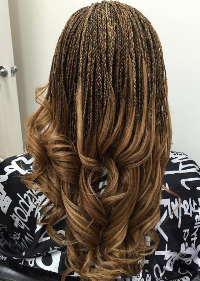  Best 25+ of Highlighted Invisible Braids with Undone Ends