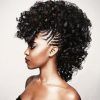 Twist Curl Mohawk Hairstyles (Photo 4 of 25)